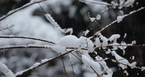 深海迷航（探索冰天雪地中的秘密武器）